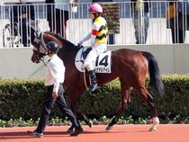 ����å��ǳ��������ɽ�����ޤ�