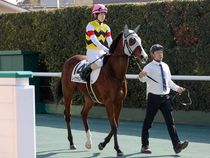 ����å��ǳ��������ɽ�����ޤ�