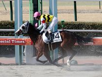 ����å��ǳ��������ɽ�����ޤ�