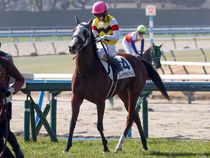 ����å��ǳ��������ɽ�����ޤ�