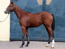 ����å��ǳ��������ɽ�����ޤ�