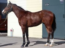 ����å��ǳ��������ɽ�����ޤ�