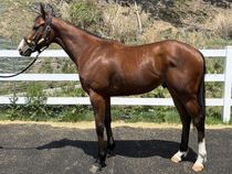 ����å��ǳ��������ɽ�����ޤ�