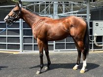 ����å��ǳ��������ɽ�����ޤ�