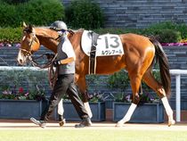 ����å��ǳ��������ɽ�����ޤ�