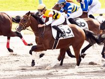 ����å��ǳ��������ɽ�����ޤ�