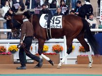 ����å��ǳ��������ɽ�����ޤ�