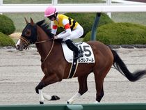 ����å��ǳ��������ɽ�����ޤ�