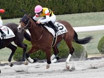 ����å��ǳ��������ɽ�����ޤ�