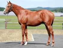 ����å��ǳ��������ɽ�����ޤ�