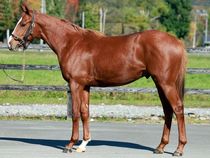 ����å��ǳ��������ɽ�����ޤ�