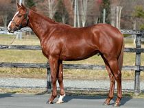 ����å��ǳ��������ɽ�����ޤ�