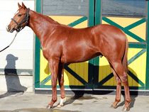 ����å��ǳ��������ɽ�����ޤ�