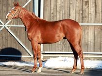 ����å��ǳ��������ɽ�����ޤ�