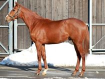 ����å��ǳ��������ɽ�����ޤ�