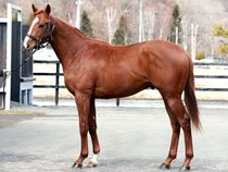 ����å��ǳ��������ɽ�����ޤ�