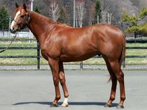 ����å��ǳ��������ɽ�����ޤ�