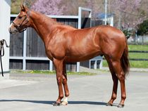 ����å��ǳ��������ɽ�����ޤ�