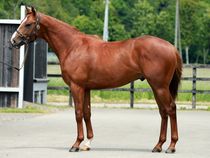 ����å��ǳ��������ɽ�����ޤ�