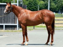 ����å��ǳ��������ɽ�����ޤ�