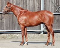 ����å��ǳ��������ɽ�����ޤ�