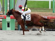 ����å��ǳ��������ɽ�����ޤ�