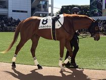 ����å��ǳ��������ɽ�����ޤ�