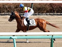 ����å��ǳ��������ɽ�����ޤ�