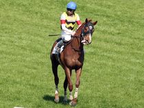 ����å��ǳ��������ɽ�����ޤ�