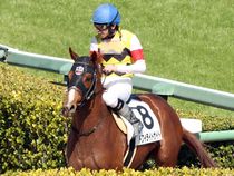 ����å��ǳ��������ɽ�����ޤ�