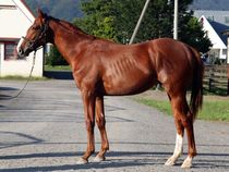 ����å��ǳ��������ɽ�����ޤ�