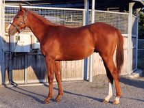 ����å��ǳ��������ɽ�����ޤ�