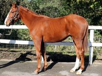 ����å��ǳ��������ɽ�����ޤ�