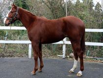 ����å��ǳ��������ɽ�����ޤ�