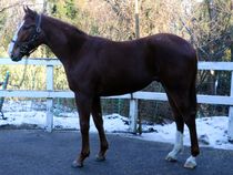 ����å��ǳ��������ɽ�����ޤ�