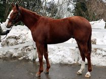 ����å��ǳ��������ɽ�����ޤ�