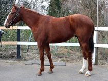 ����å��ǳ��������ɽ�����ޤ�