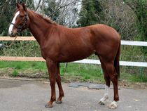 ����å��ǳ��������ɽ�����ޤ�