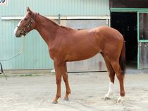 ����å��ǳ��������ɽ�����ޤ�