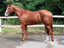 ����å��ǳ��������ɽ�����ޤ�