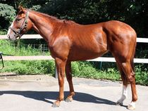 ����å��ǳ��������ɽ�����ޤ�