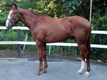 ����å��ǳ��������ɽ�����ޤ�