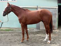 ����å��ǳ��������ɽ�����ޤ�