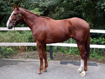 ����å��ǳ��������ɽ�����ޤ�