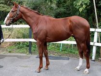 ����å��ǳ��������ɽ�����ޤ�