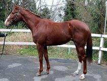 ����å��ǳ��������ɽ�����ޤ�