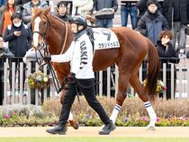 ����å��ǳ��������ɽ�����ޤ�