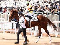 ����å��ǳ��������ɽ�����ޤ�