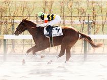 ����å��ǳ��������ɽ�����ޤ�