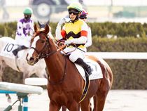 ����å��ǳ��������ɽ�����ޤ�